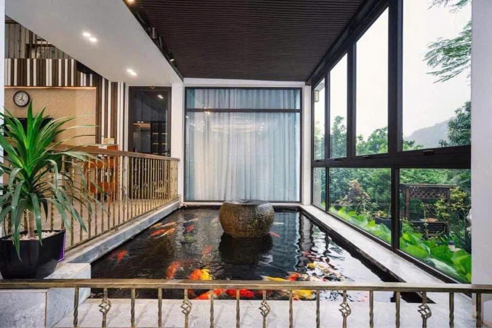 Lavita Villa